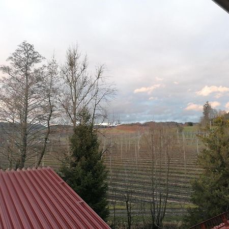 Ferienhof Hopfgaertle Mueller Bodnegg Buitenkant foto