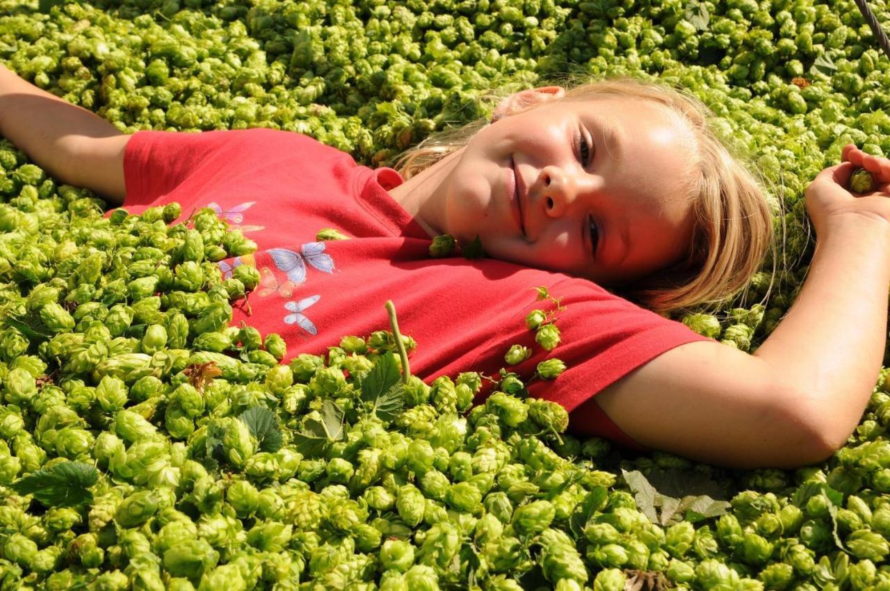 Ferienhof Hopfgaertle Mueller Bodnegg Buitenkant foto