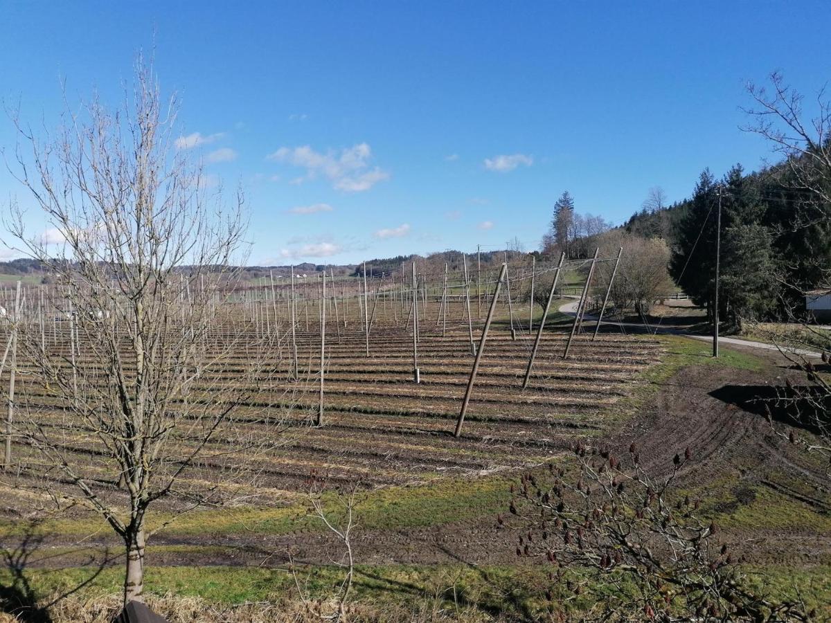 Ferienhof Hopfgaertle Mueller Bodnegg Kamer foto