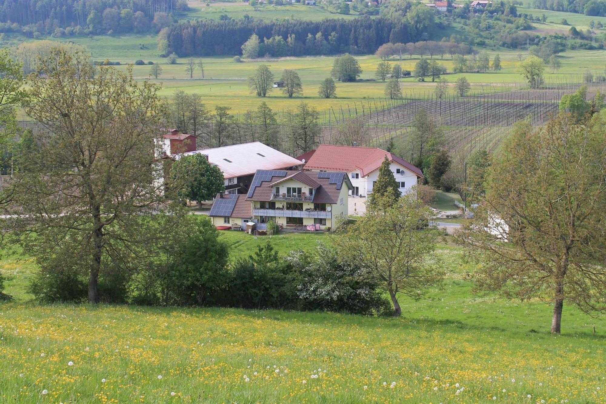 Ferienhof Hopfgaertle Mueller Bodnegg Buitenkant foto