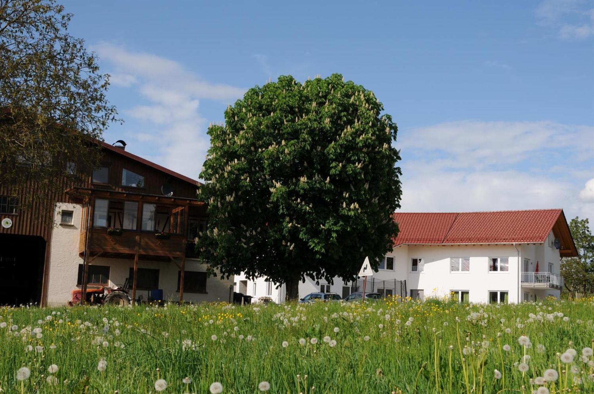 Ferienhof Hopfgaertle Mueller Bodnegg Buitenkant foto